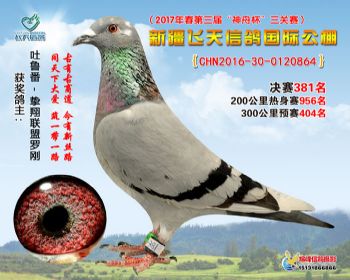 新疆飞天决赛381名