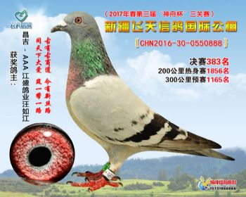 新疆飞天决赛383名