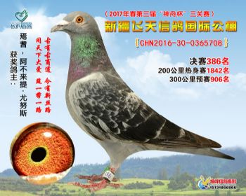 新疆飞天决赛386名