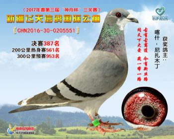 新疆飞天决赛387名