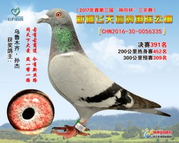 新疆飞天决赛391名