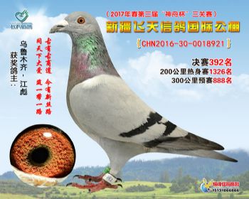 新疆飞天决赛392名