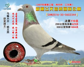 新疆飞天决赛110名