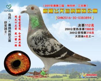 新疆飞天决赛112名