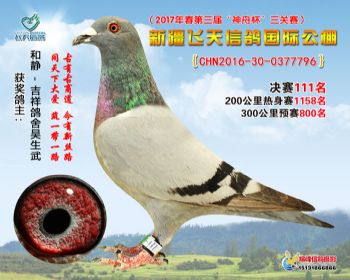 新疆飞天决赛111名