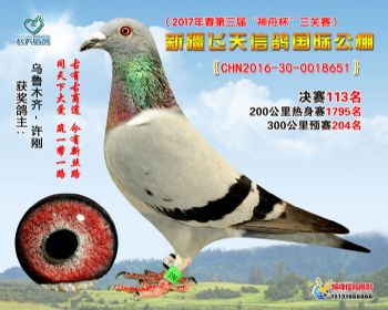 新疆飞天决赛113名