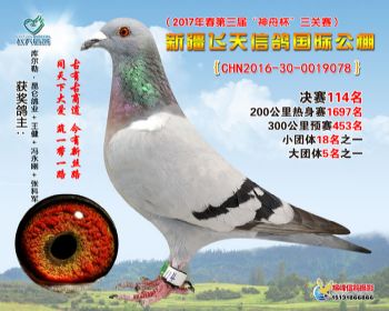新疆飞天决赛114名