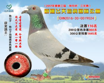 新疆飞天决赛116名