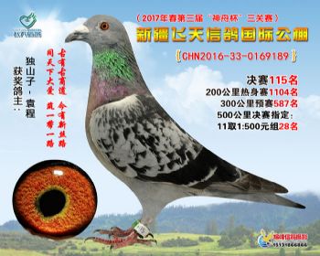 新疆飞天决赛115名