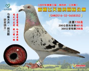 新疆飞天决赛118名