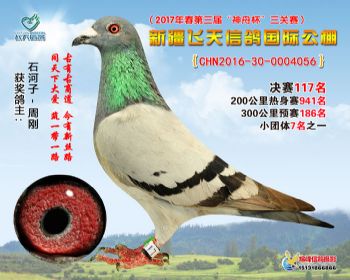 新疆飞天决赛117名