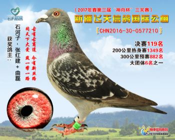 新疆飞天决赛119名