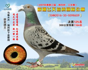 新疆飞天决赛125名