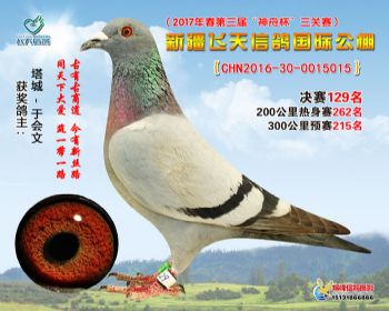 新疆飞天决赛129名