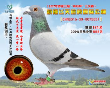 新疆飞天决赛131名