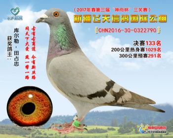 新疆飞天决赛133名