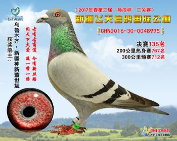新疆飞天决赛135名