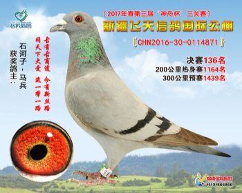 新疆飞天决赛136名