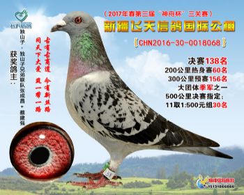 新疆飞天决赛138名