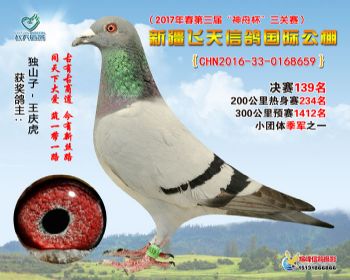 新疆飞天决赛139名