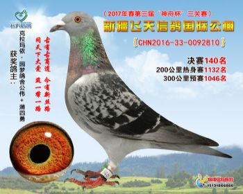 新疆飞天决赛140名