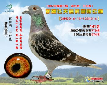 新疆飞天决赛141名