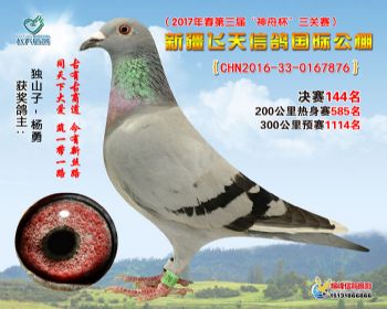 新疆飞天决赛144名