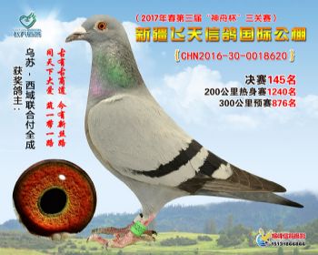 新疆飞天决赛145名
