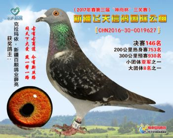 新疆飞天决赛146名