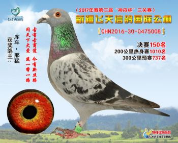 新疆飞天决赛150名