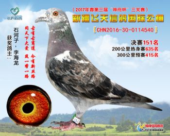 新疆飞天决赛151名