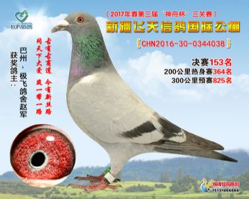 新疆飞天决赛153名