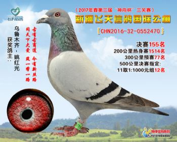 新疆飞天决赛155名