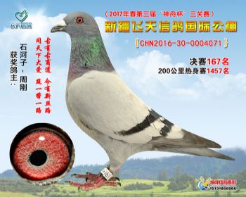新疆飞天决赛167名