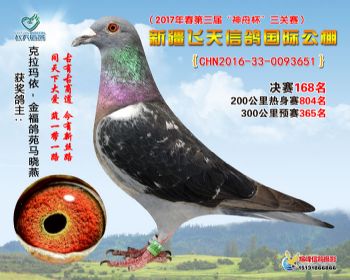 新疆飞天决赛168名
