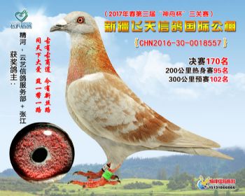 新疆飞天决赛170名