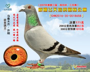 新疆飞天决赛171名