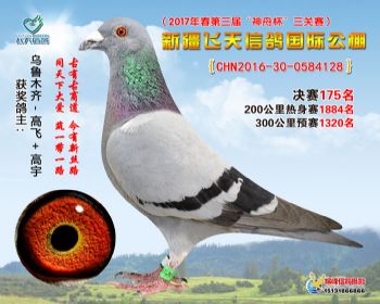 新疆飞天决赛175名