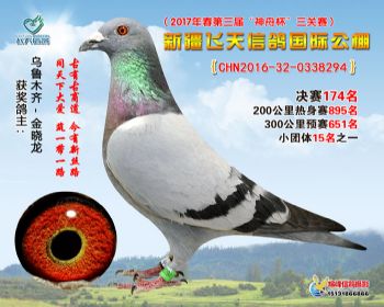 新疆飞天决赛174名