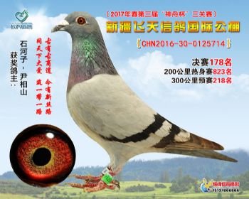 新疆飞天决赛178名