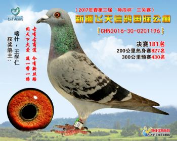 新疆飞天决赛181名