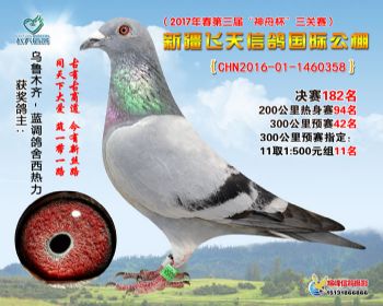 新疆飞天决赛182名