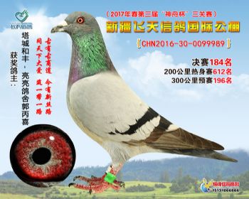 新疆飞天决赛184名