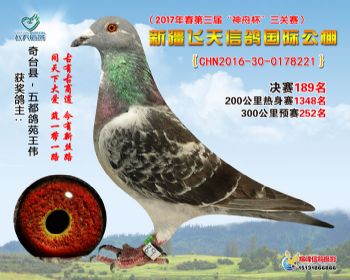 新疆飞天决赛189名
