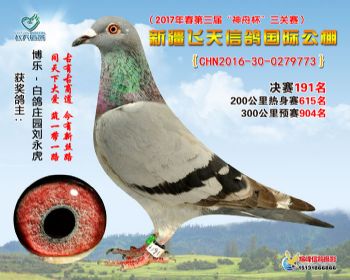 新疆飞天决赛191名