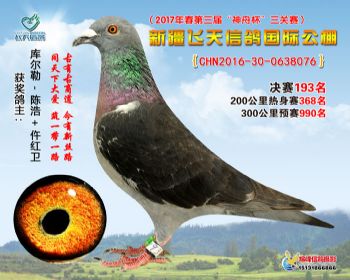 新疆飞天决赛193名
