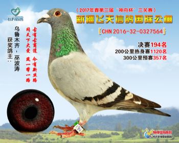 新疆飞天决赛194名