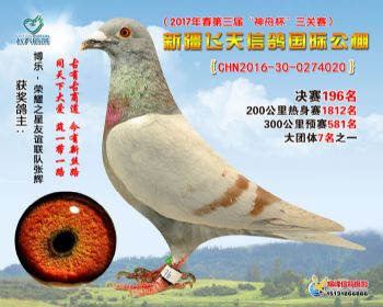 新疆飞天决赛196名