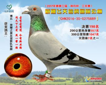 新疆飞天决赛198名