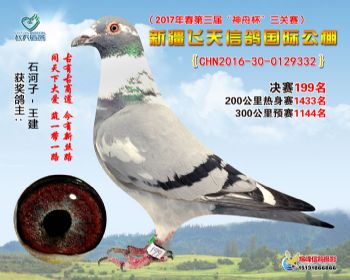 新疆飞天决赛199名